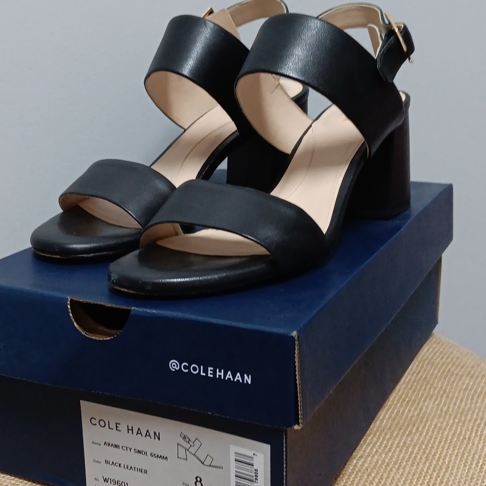 Cole Haan block heel sandals
